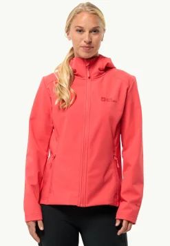 Bornberg Hoody W